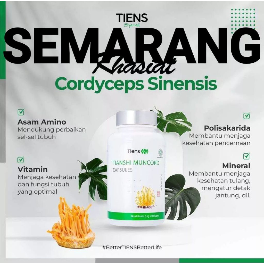 Muncord Capsules Tiens | Tianshi Muncord | Cordyceps | Dikirim dari Tiens Semarang