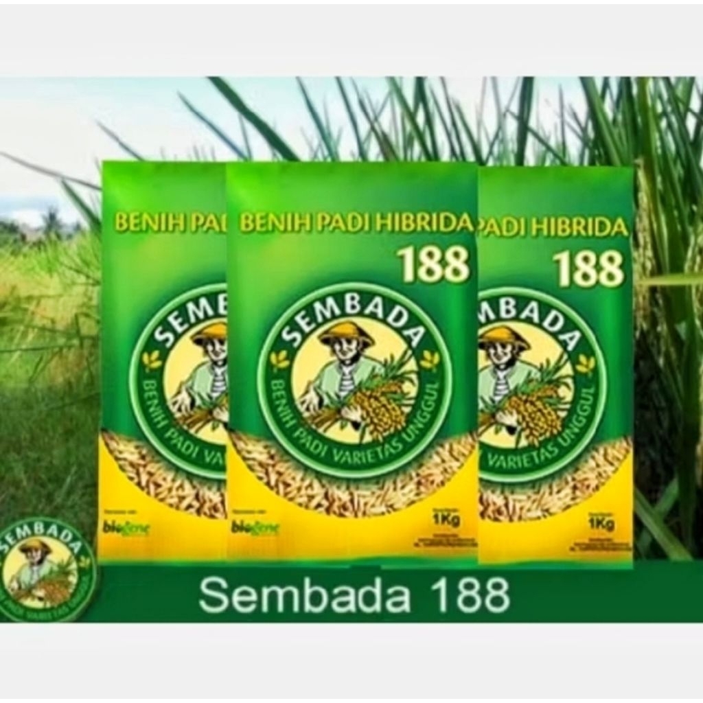 BENIH PADI SEMBADA 188 ORIGINAL KEMASAN 10KG
