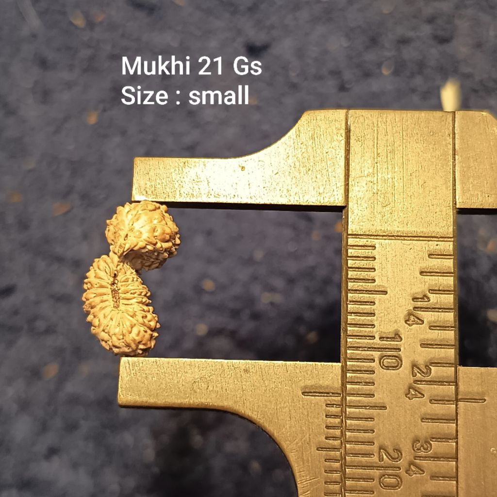 21 mukhi gs
