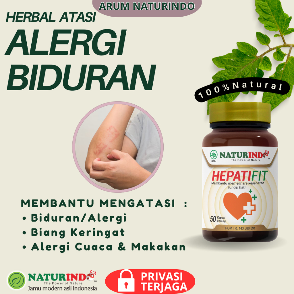 Obat Herbal Alergi Biduran Hepatitis Kemerahan Kulit Obat Biduran Alergi Dingin Gatal