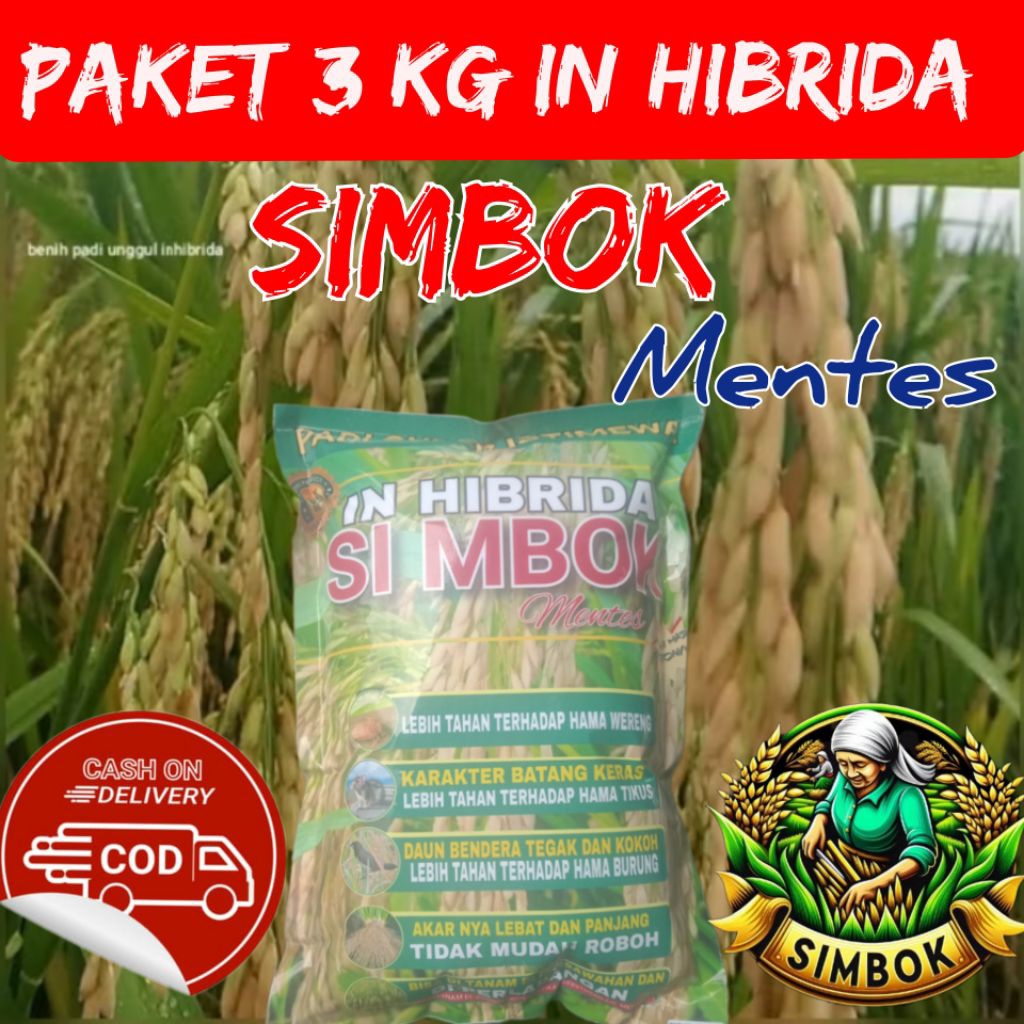 (3kg)Padi IN-Hibrida simbok mentes,umur pendek 85-95 Hst