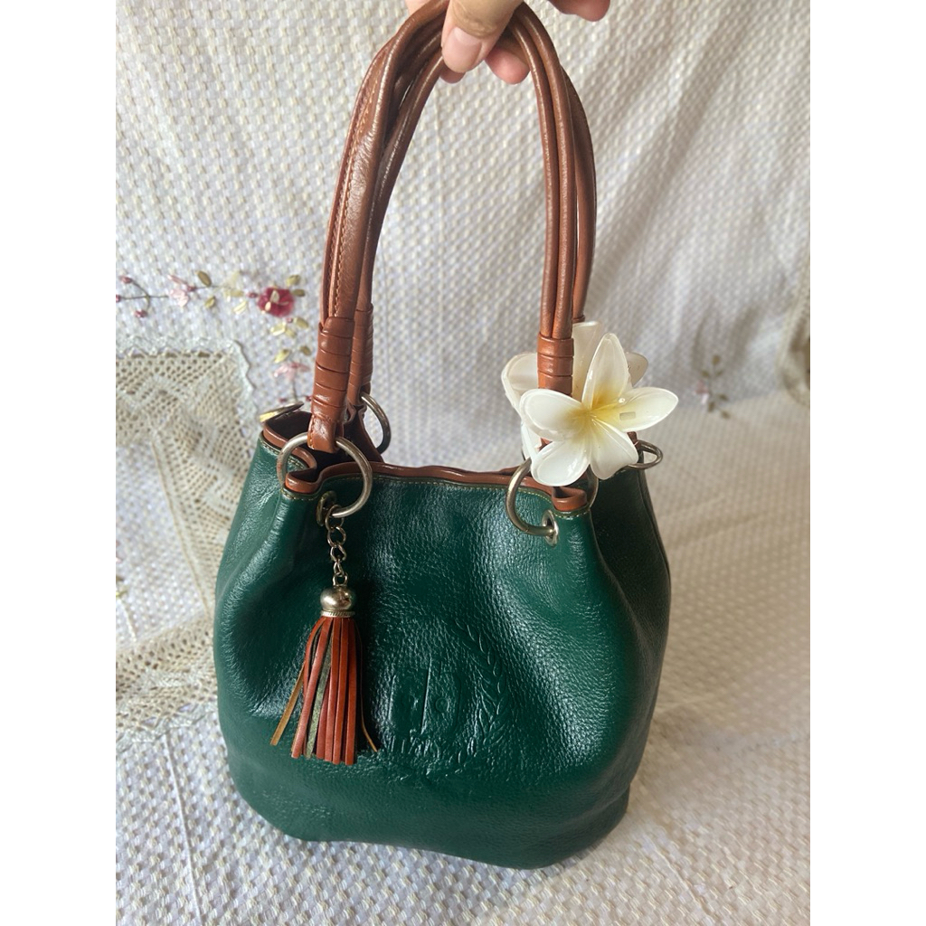 Arnaldo Bassini small Bucket bag in Dark Green and Brown