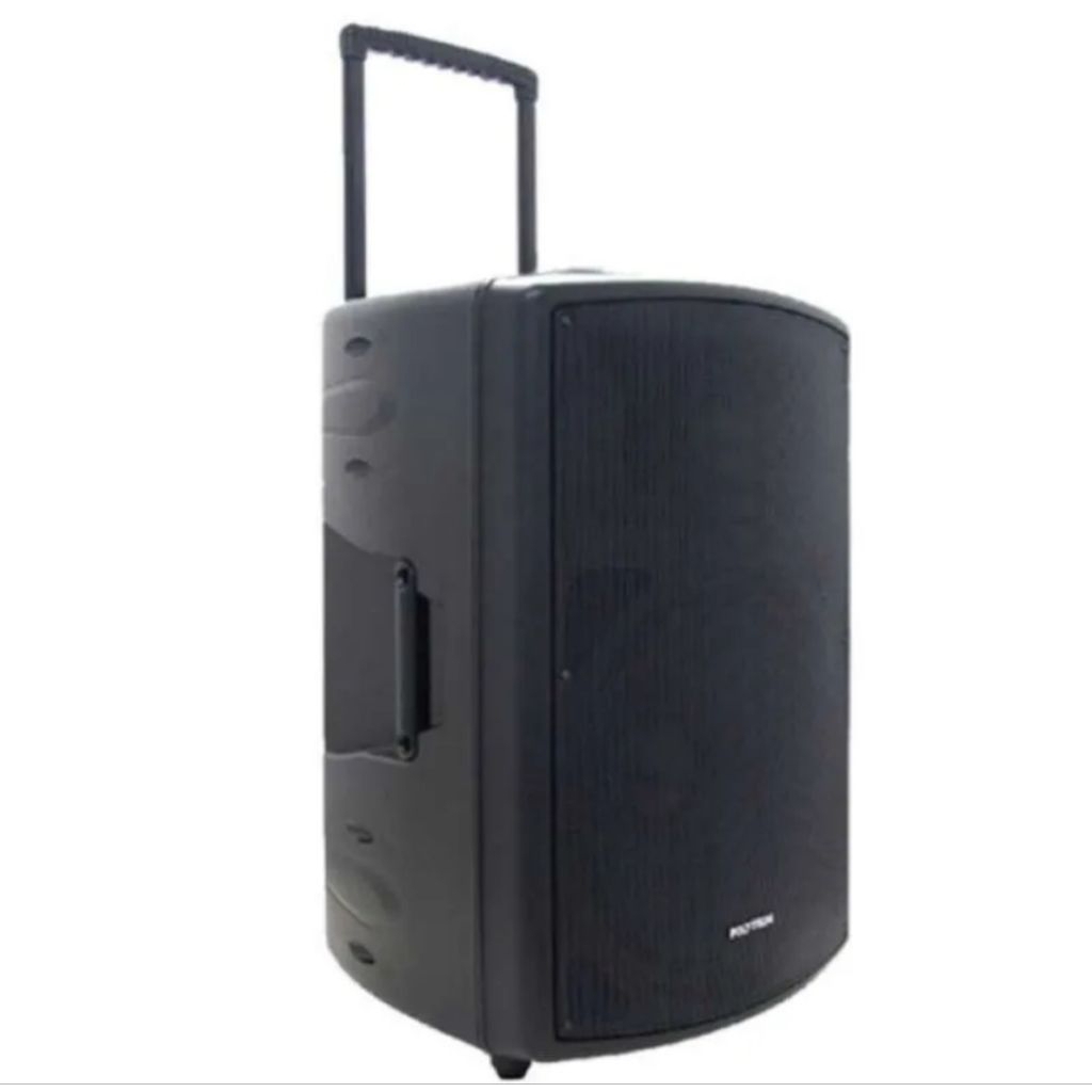 speaker Polytron PAS PRO12F3