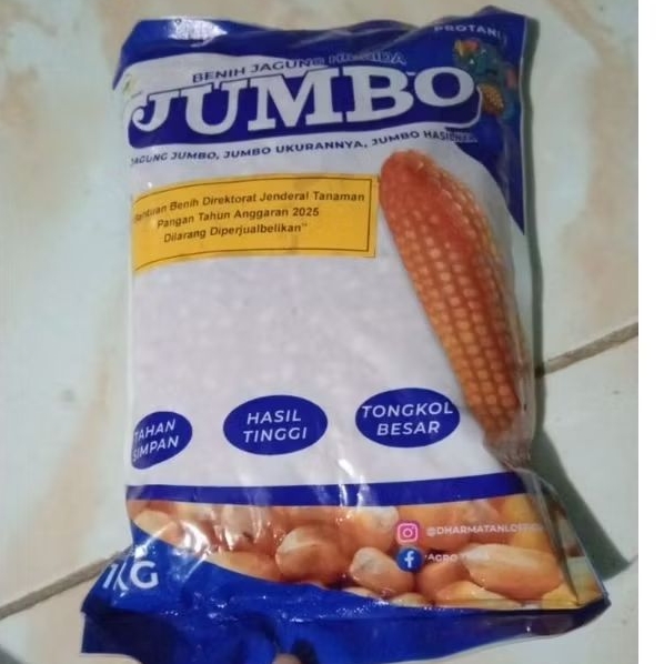 BENIH JAGUNG HIBRIDA JUMBO KEMASAN 1KG