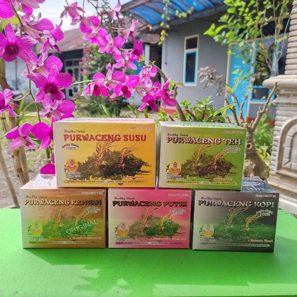 PURWACENG DIENG PURBA HERBAL KESEHATAN SPECIFIC DIENG