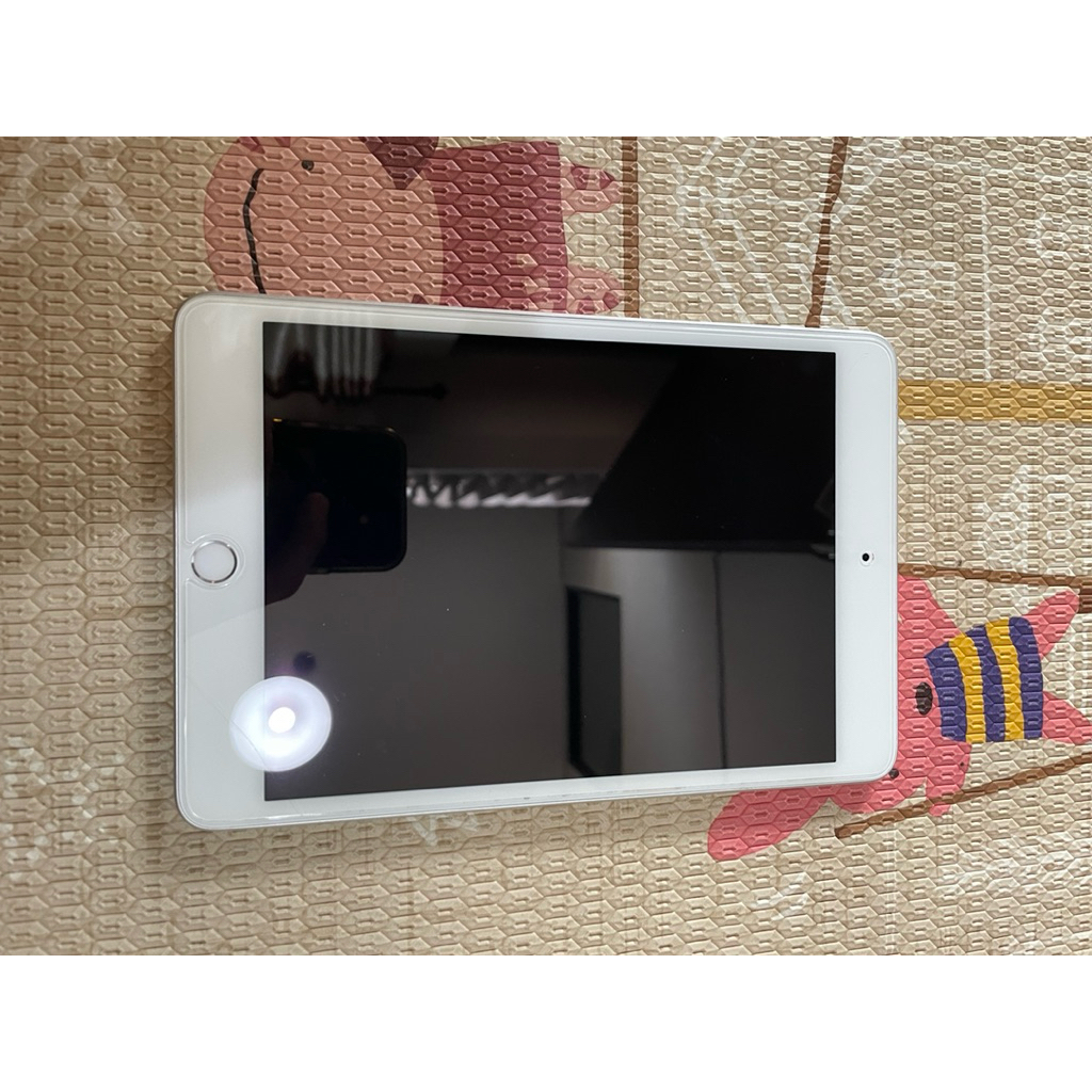 ipad mini 5 256GB Wifi Only preloved
