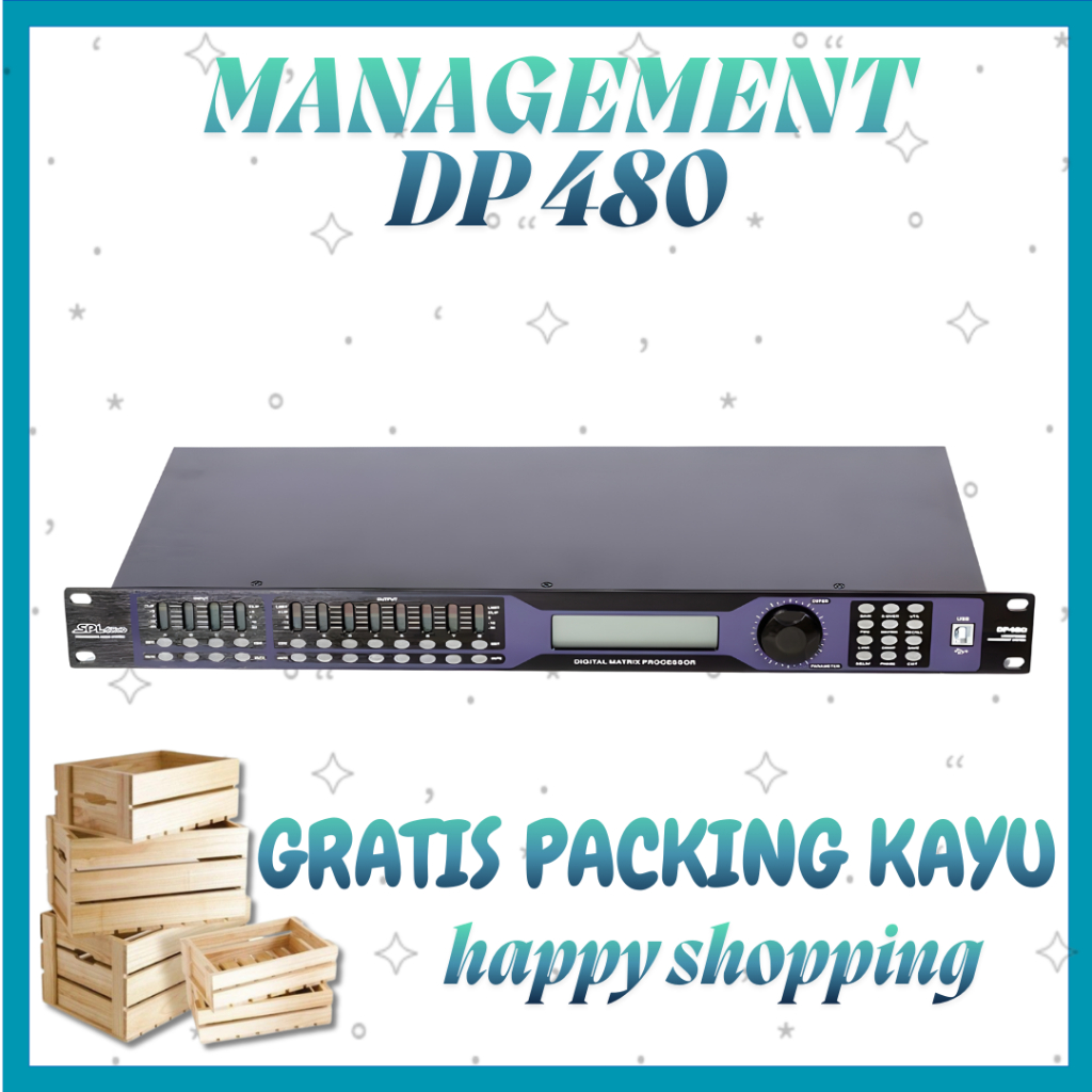 SPL Audio Speaker Management DP 480