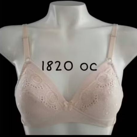 1 pcs bra diana 1820 busa tebal tanpa kawat