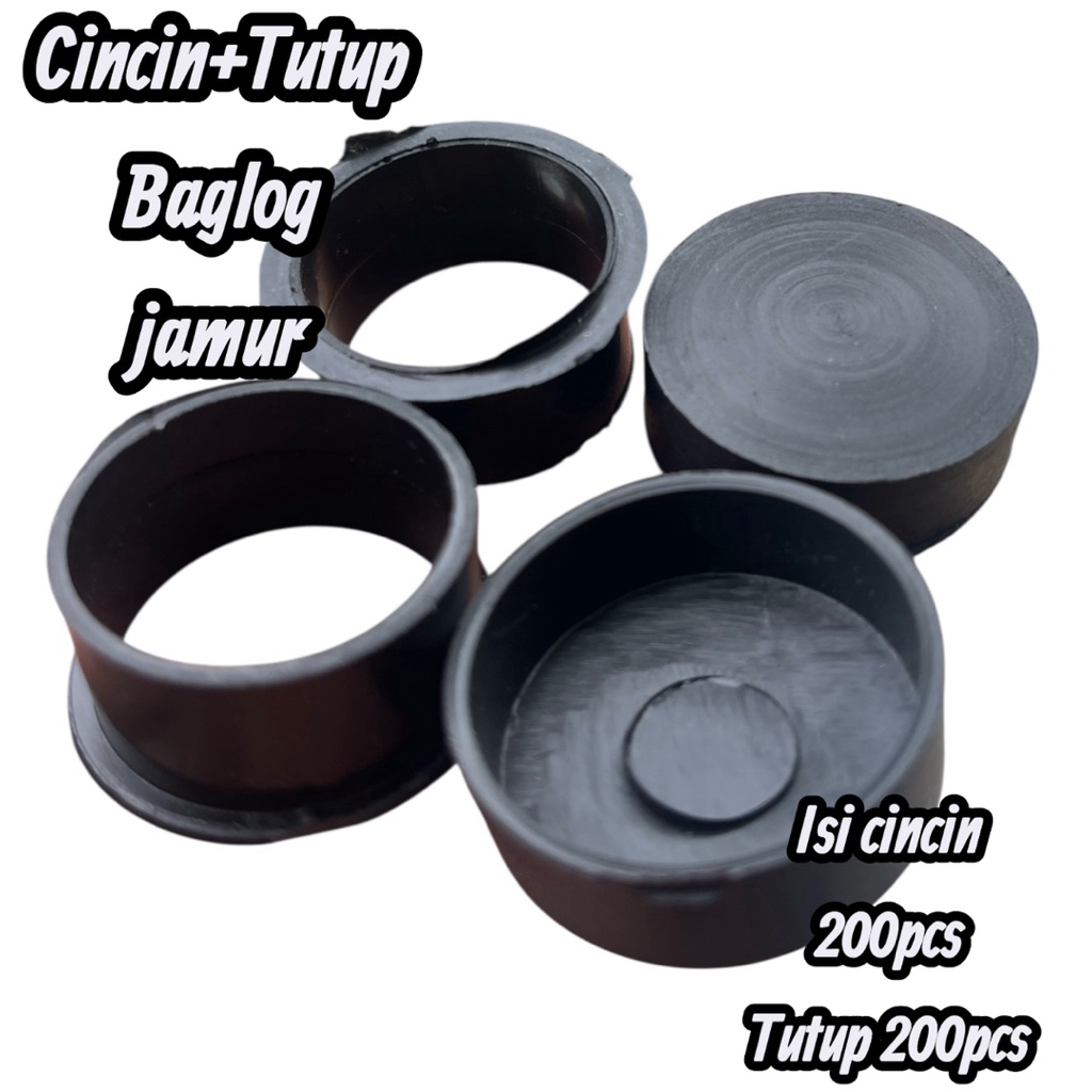 CINCIN JAMUR TIRAM BAGLOG JAMUR TIRAM CINCIN TUTUP BAGLOG JAMUR TIRAM