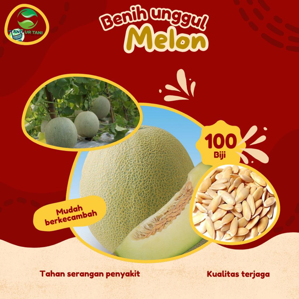 Benih. Bibit.(100butir)Melon.super.Benih.melon
