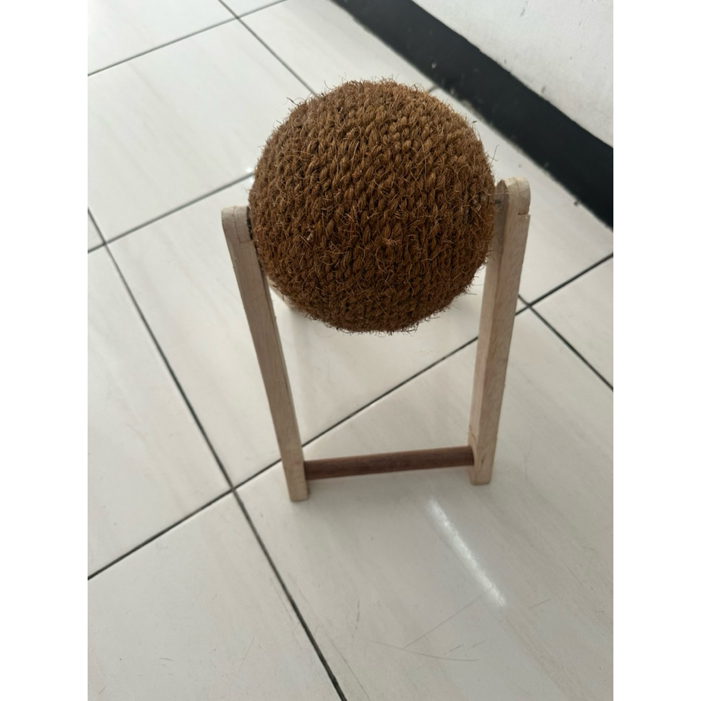 preloved mainan kucing