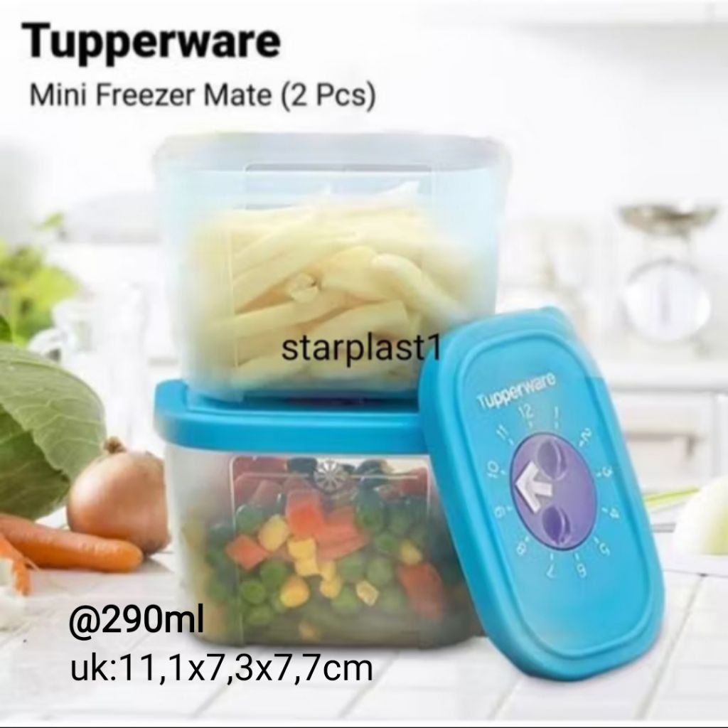 Mini Freezer Mate w. Dial (2)@290ml Tupperware | Wadah penyimpan difreezer