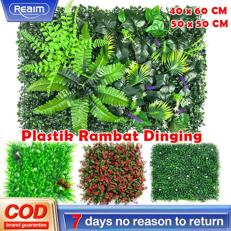 Plastik Dinding Rumput Buatan Rumah Pagar Dinding Rambat Daun  Daun Sintesis Premium  Plastik Hiasan