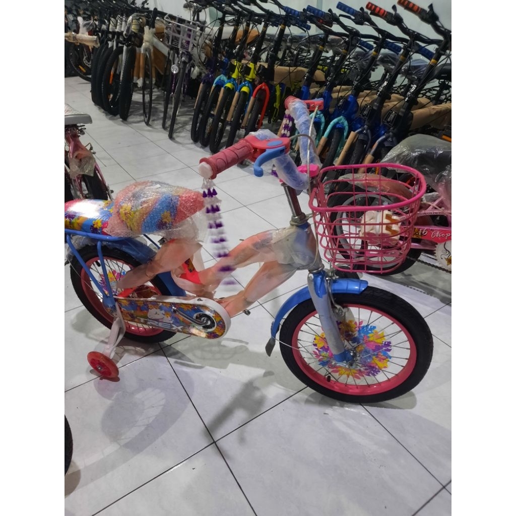 Sepeda Anak Mini 16 Trex – Keren, Aman, dan Nyaman