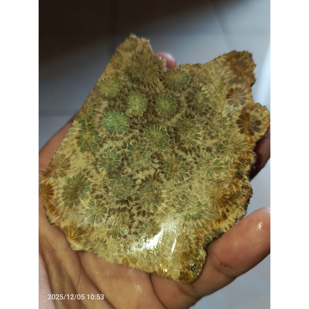 Akik Teratai Hijau Bahan Lawasan