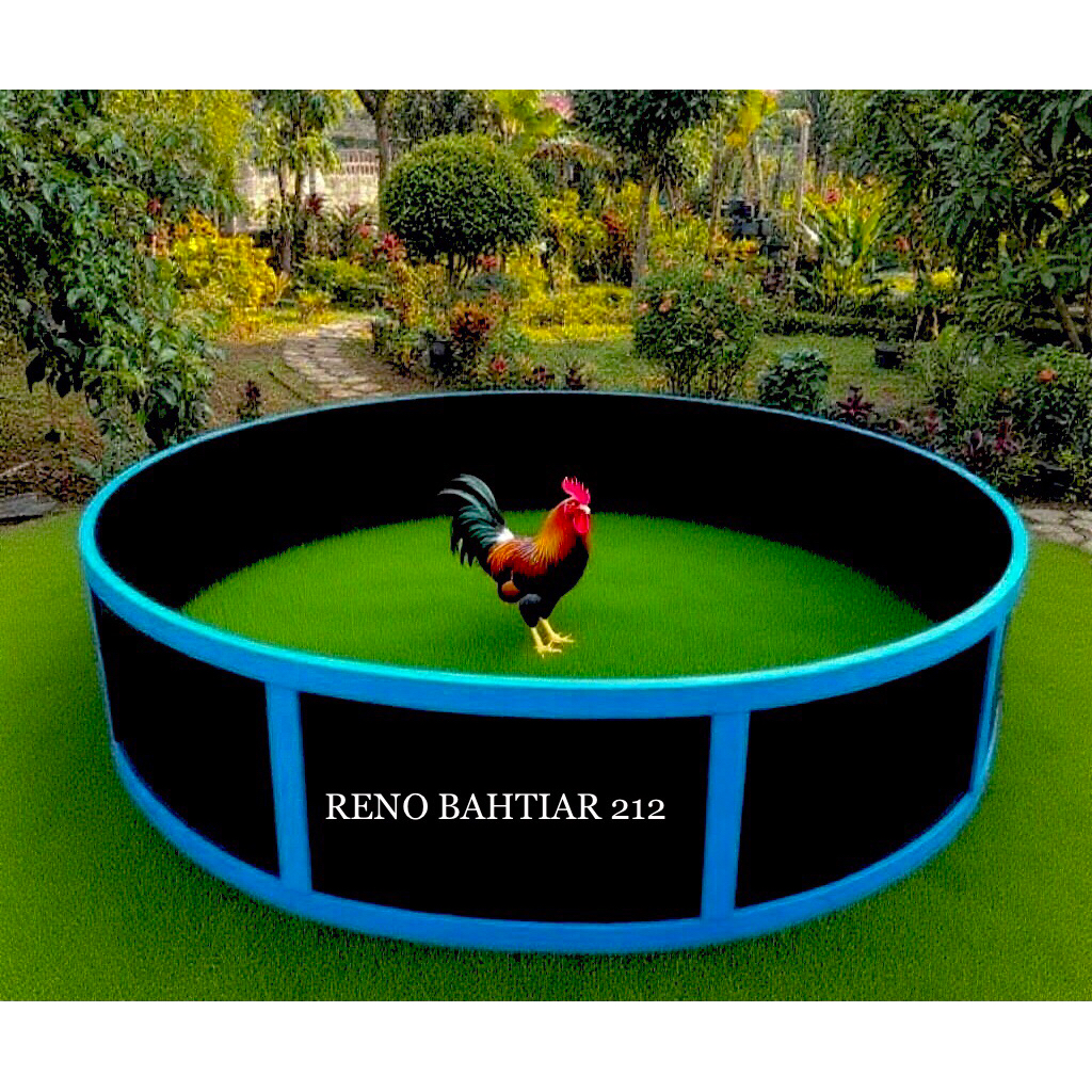 Ring Aduan Ayam GEBER Ayam Ketebalan 20mm Termurah produk sukabumi