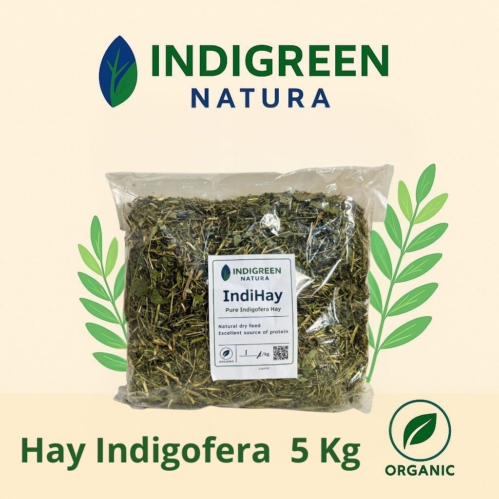 Indihay Hay Indigofera Kering Pakan Hewan Pakan Ternak Pakan Kelinci Sapi Domba Kambing - Indihay 5 