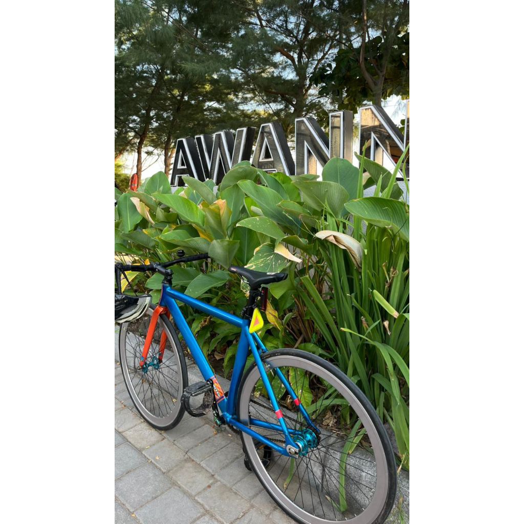 Sepeda Fixie Soloist 77