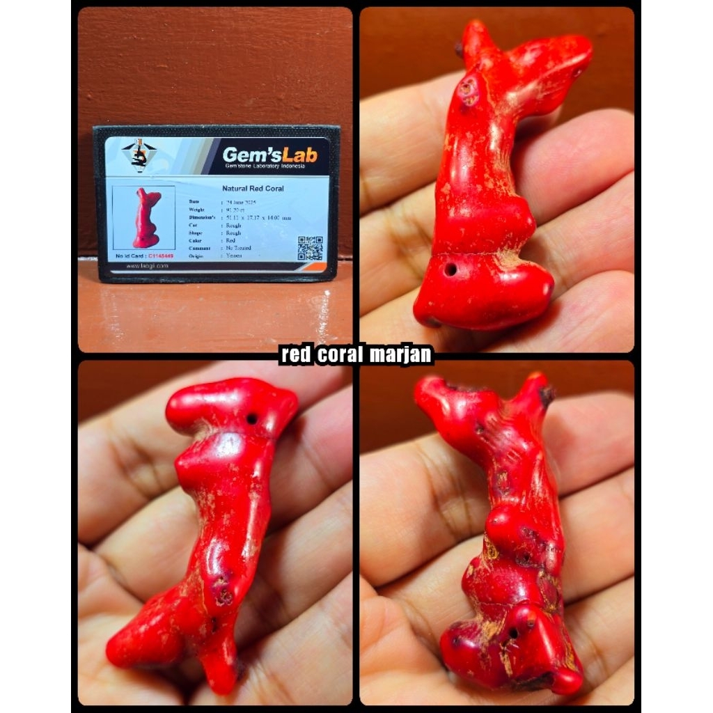 batu marjan coral jumbo asli laut merah super ( alami rough )