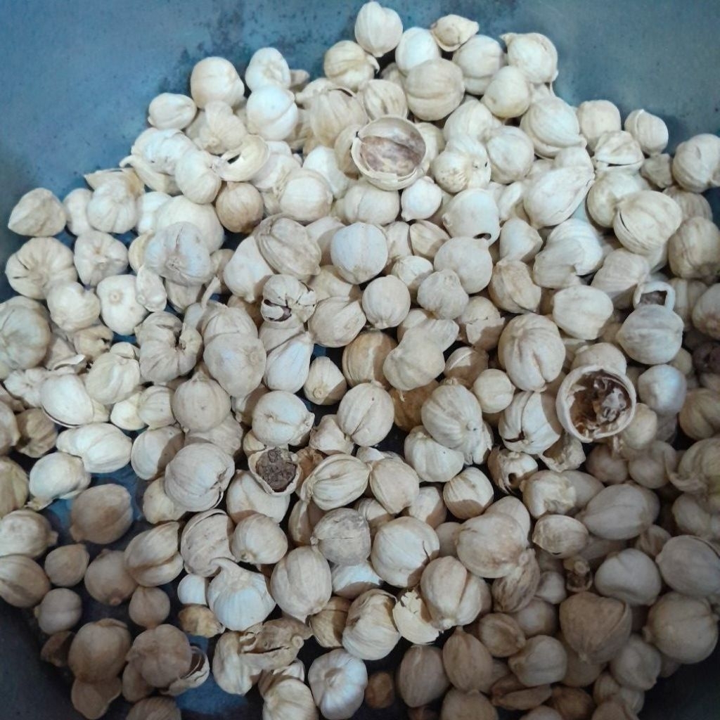 kapulaga Putih, Kemasan 1/2 ons