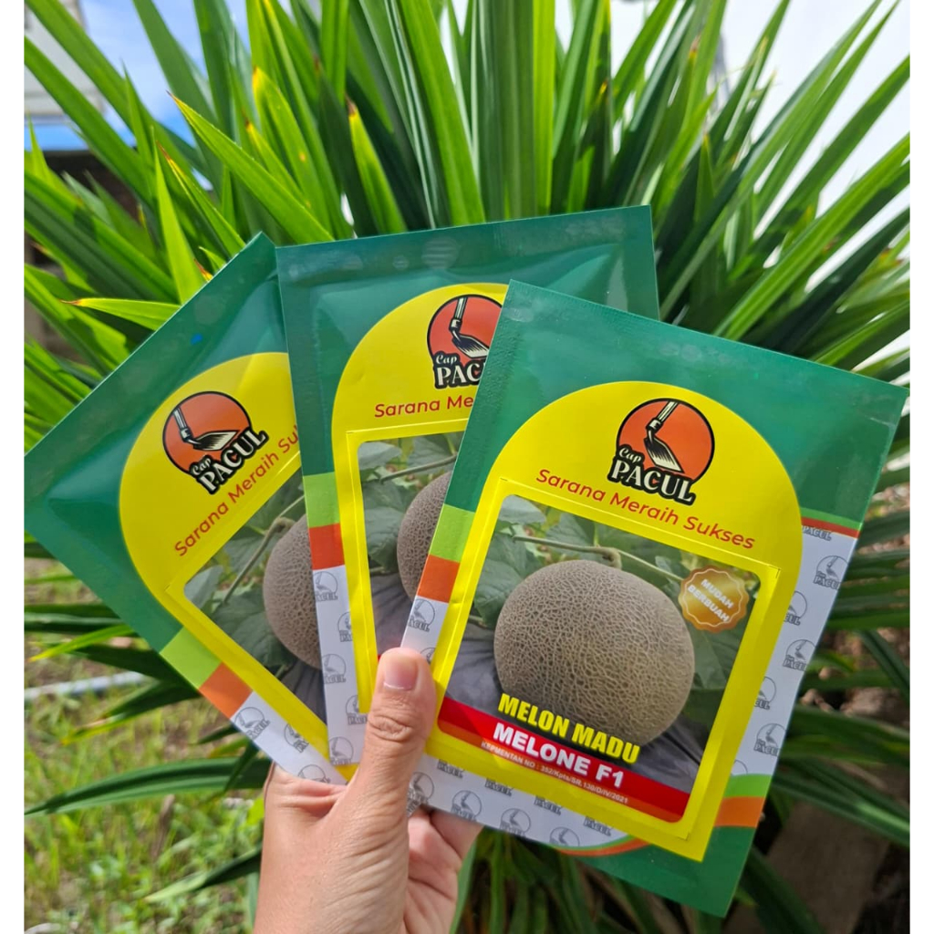 Promo Beli 2 Gratis 1 Benih Melon Tahan virus Melone F1 Cap Kujang 700 biji