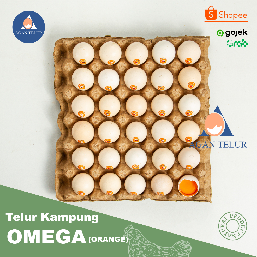 Telur Ayam Kampung Arab Omega 3 Berkualitas tinggi ukuran kecil ISI 30 BUTIR