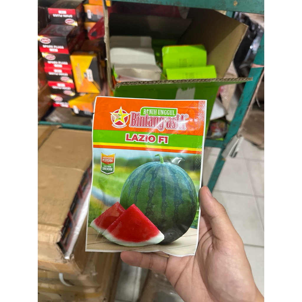 BIBIT BENIH BINTANG ASIA SEMANGKA BULAT HIBRIDA NON BIJI LAZIO F1 20 Gram
