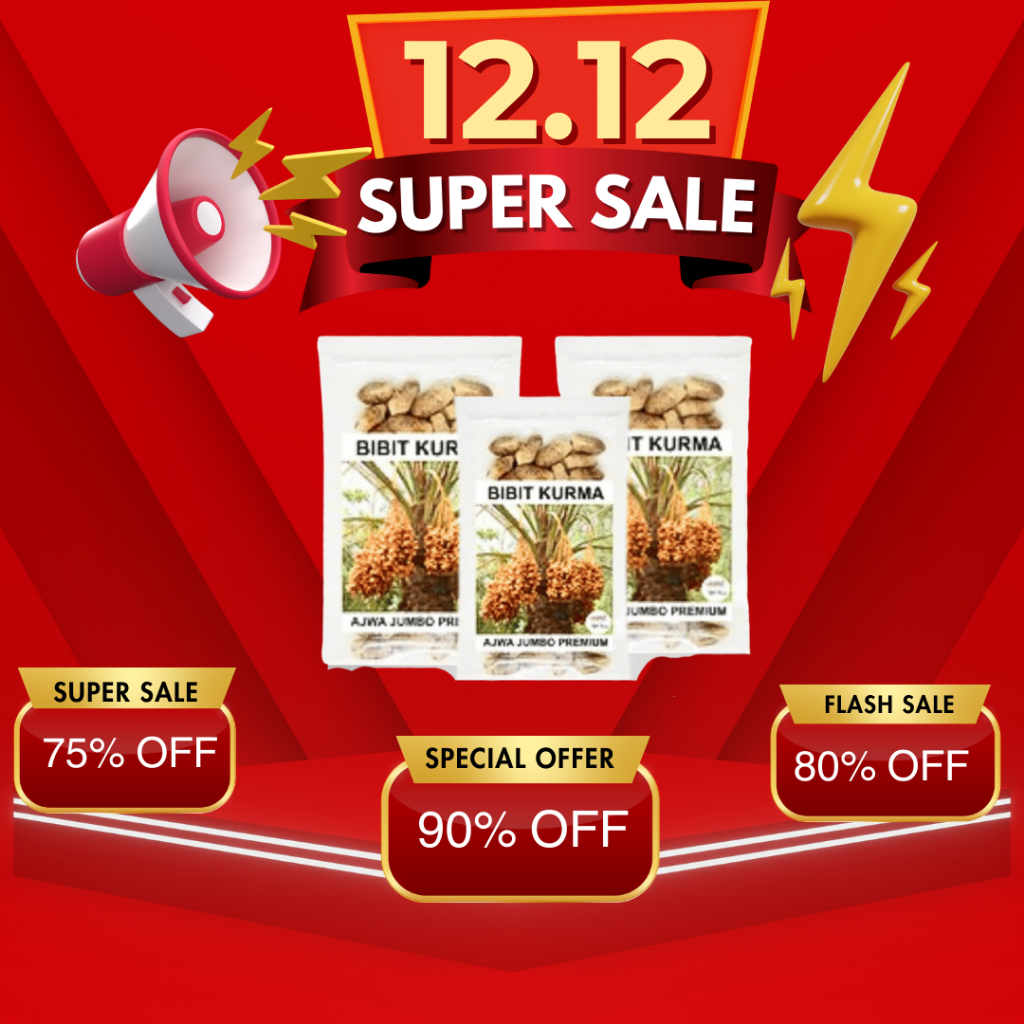 Bibit Biji Kurma Ajwa Per Biji / SIAP TANAM / bibit buah kurma nabi ajwa / benir kurma