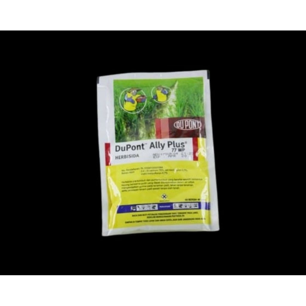 ally plus 40g