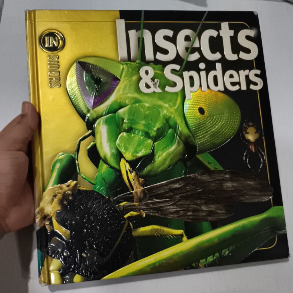 preloved ensiklopedia serangga laba laba Insect spider Original