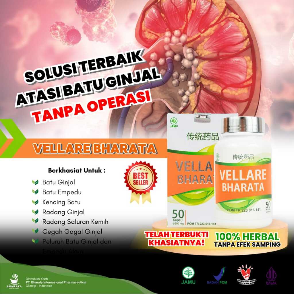 Obat Batu Ginjal & Batu Empedu Tuntas Tanpa Operasi - Vellare Bharata Original