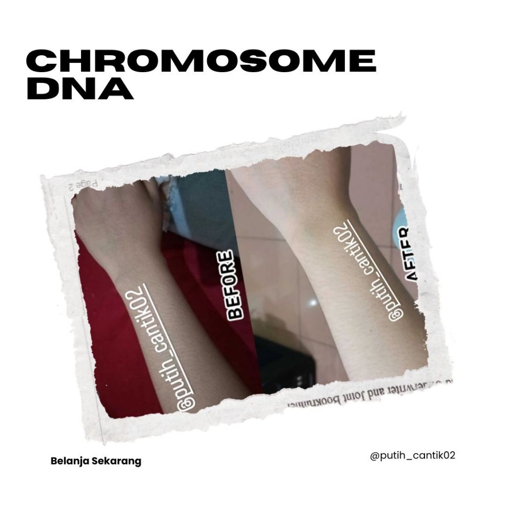 Chromosome DNA Platinum