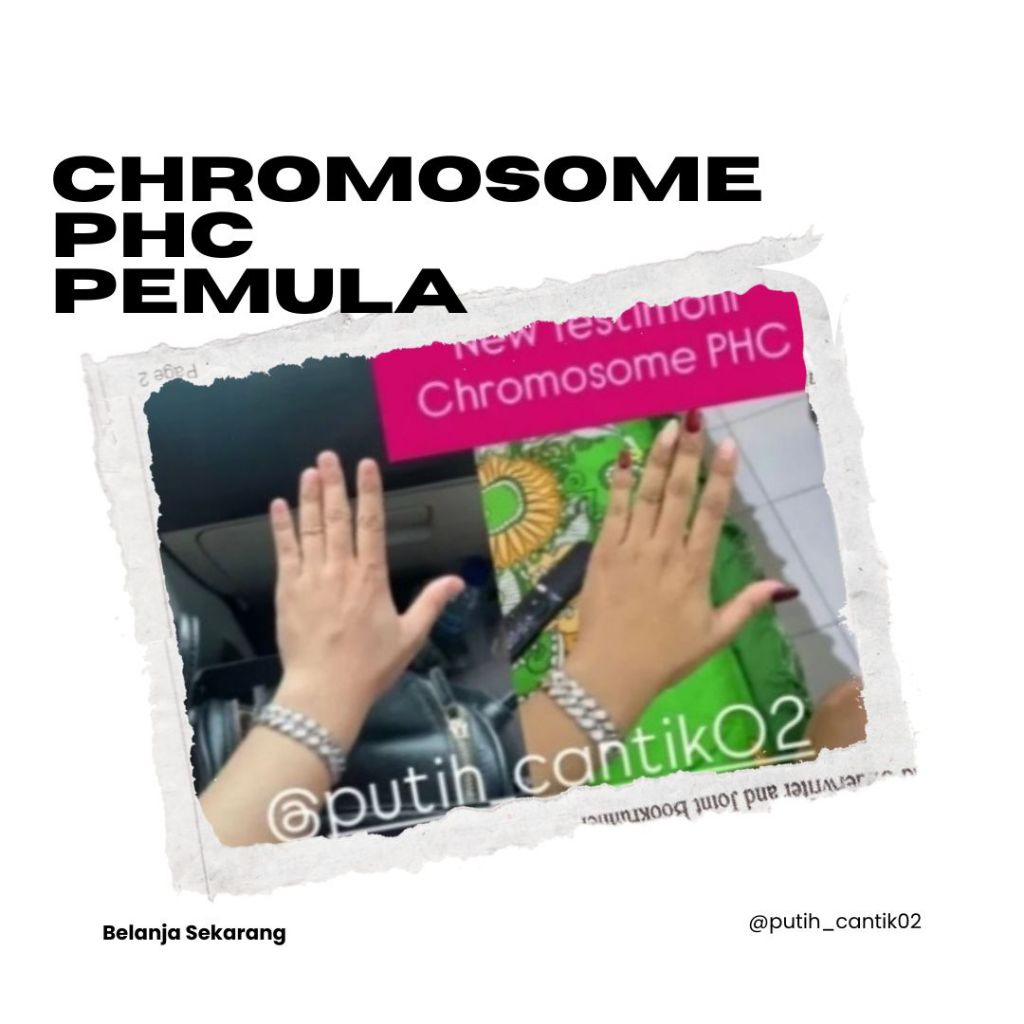 Chromosome PHC Pemula