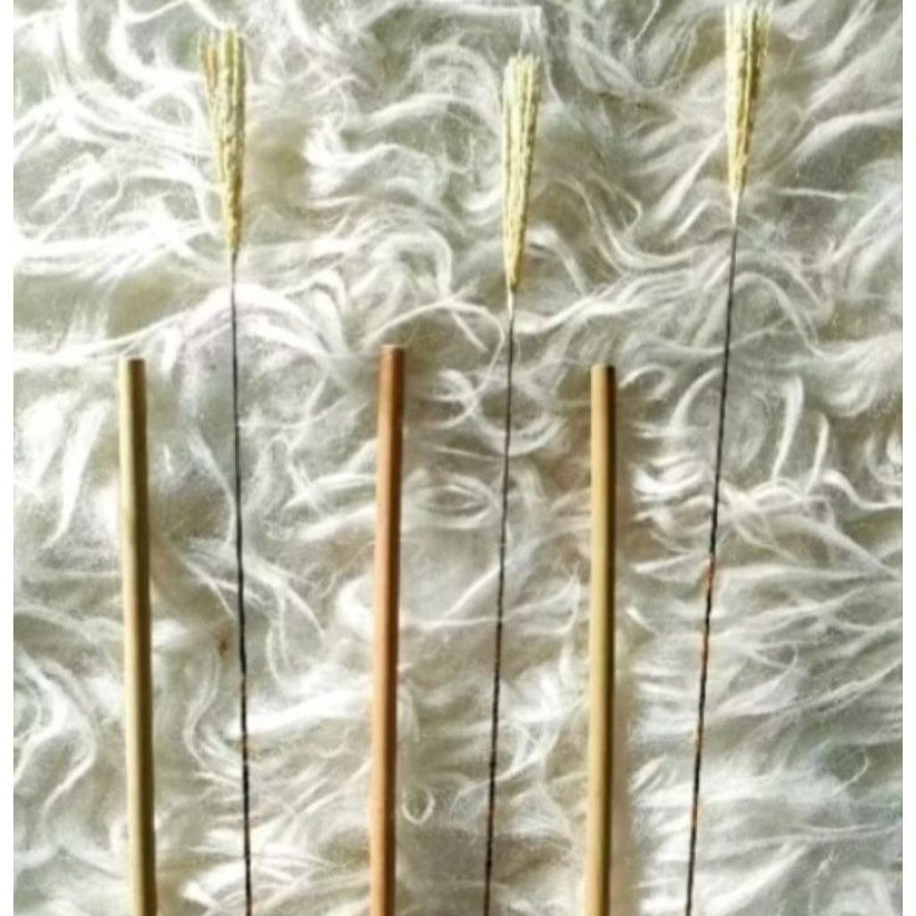 Kilikan jangkrik genggong aduan pengusir tikus