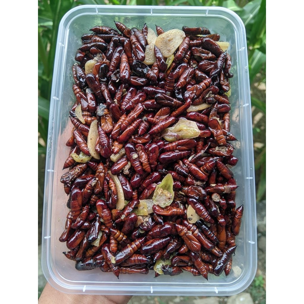 Entung jati Goreng LeZat / Ungker jati goreng kemasan toples