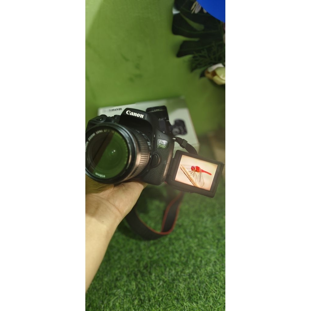 Camera Digital Canon Eos 750D