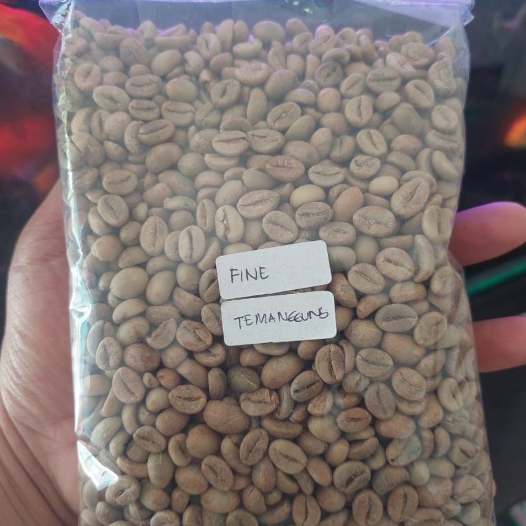 GREEN BEAN FINE KOPI ROBUSTA TEMANGGUNG BIJI KOPI PETIK MERAH ASLI TEMANGGUNG