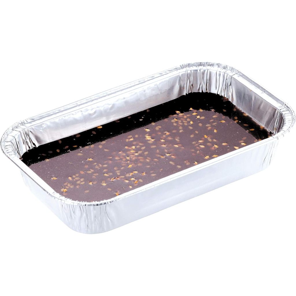 Alumunium Foil Tray - Alumunium Tray
