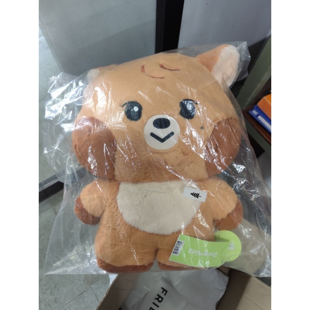 [READY INA] Sealed Big Flat Cushion Dreamiez Jjopoo Haechan