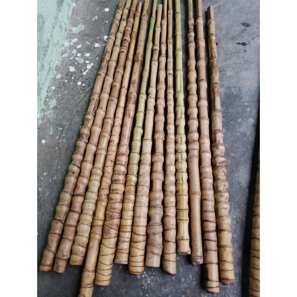 bambu cendani gagang joran lurus