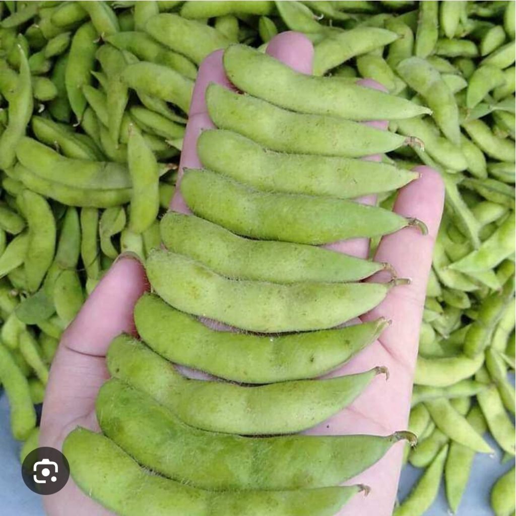 Edamame jaminan segar 1kg pasar tradisional anyar bogor