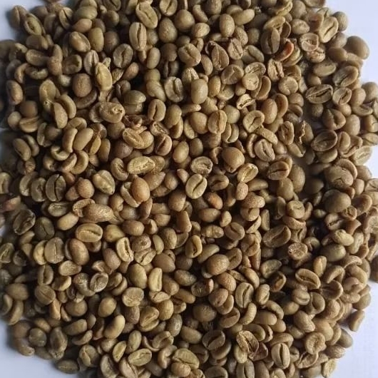 Robusta Temanggung|Biji Kopi Robusta Temanggung|Robusta G2 Temanggung