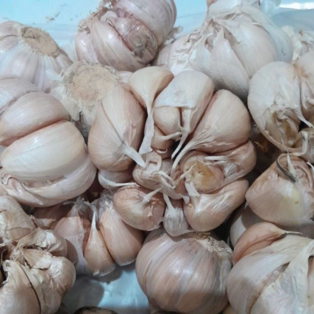 Bawang putih 1kg