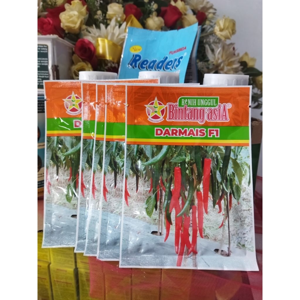 Benih Cabai Besar DARMAIS F1 / DARMAIS F1 / Benih Cabai Unggul Bintang Asia