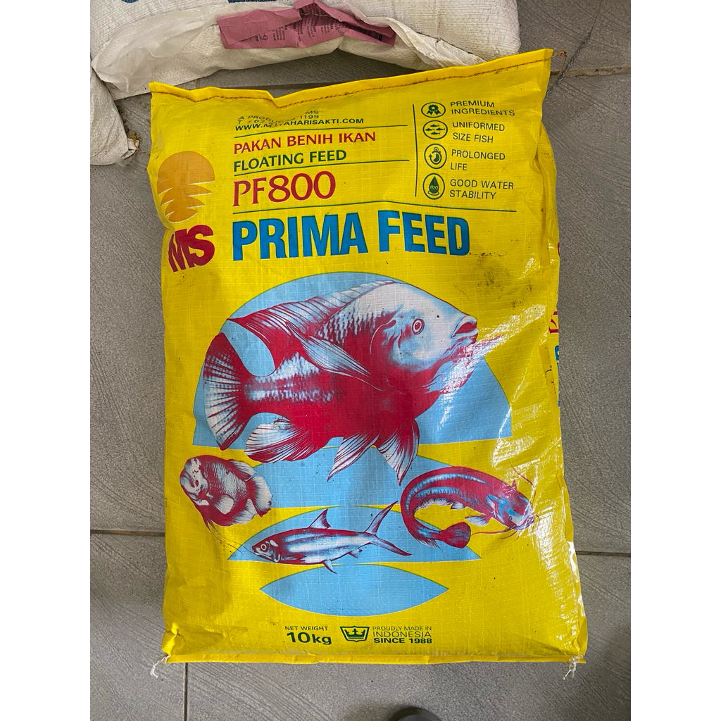 Pakan Benih Ikan PF800 (Repack) 1Kg