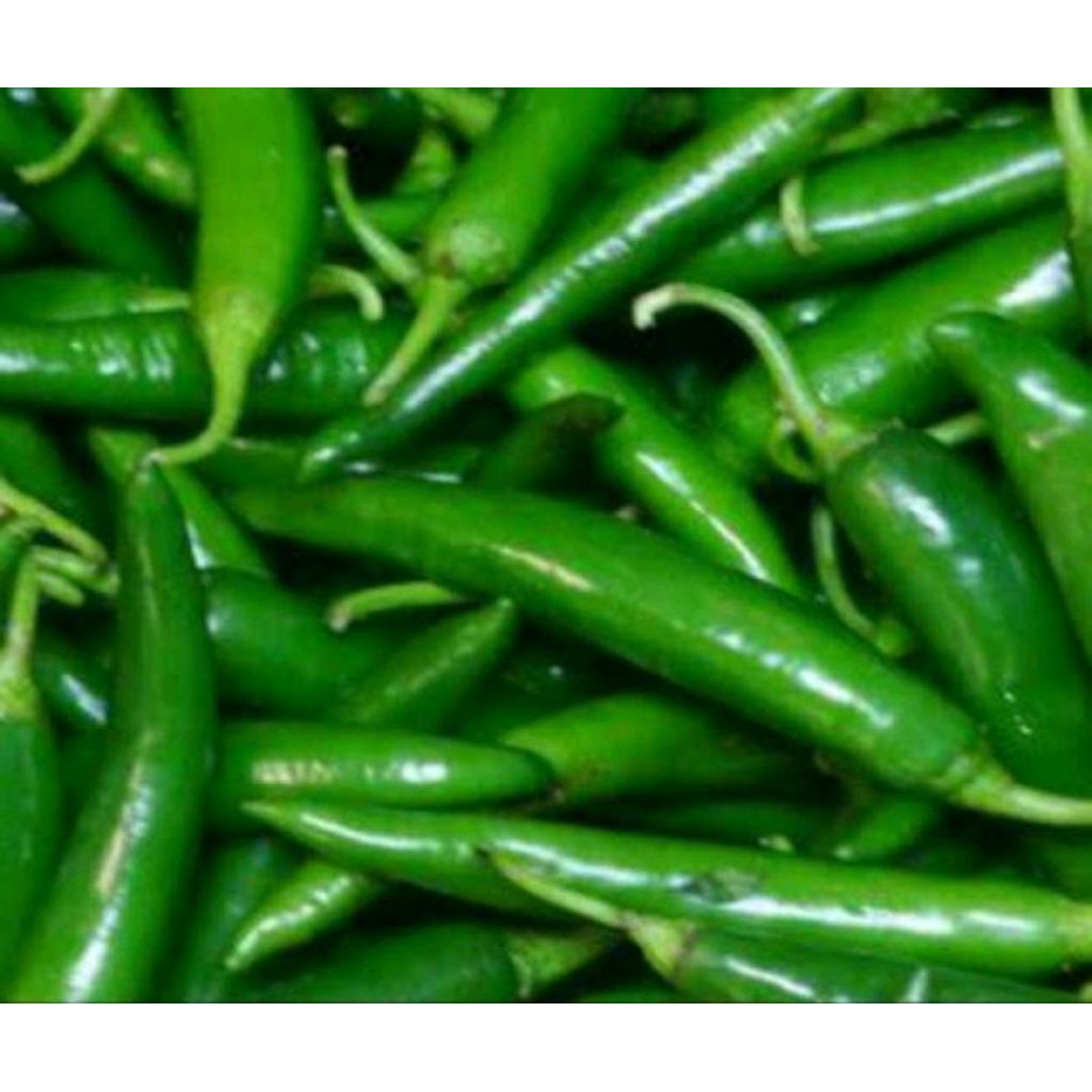 cabai hijau besar super premium tahan busuk