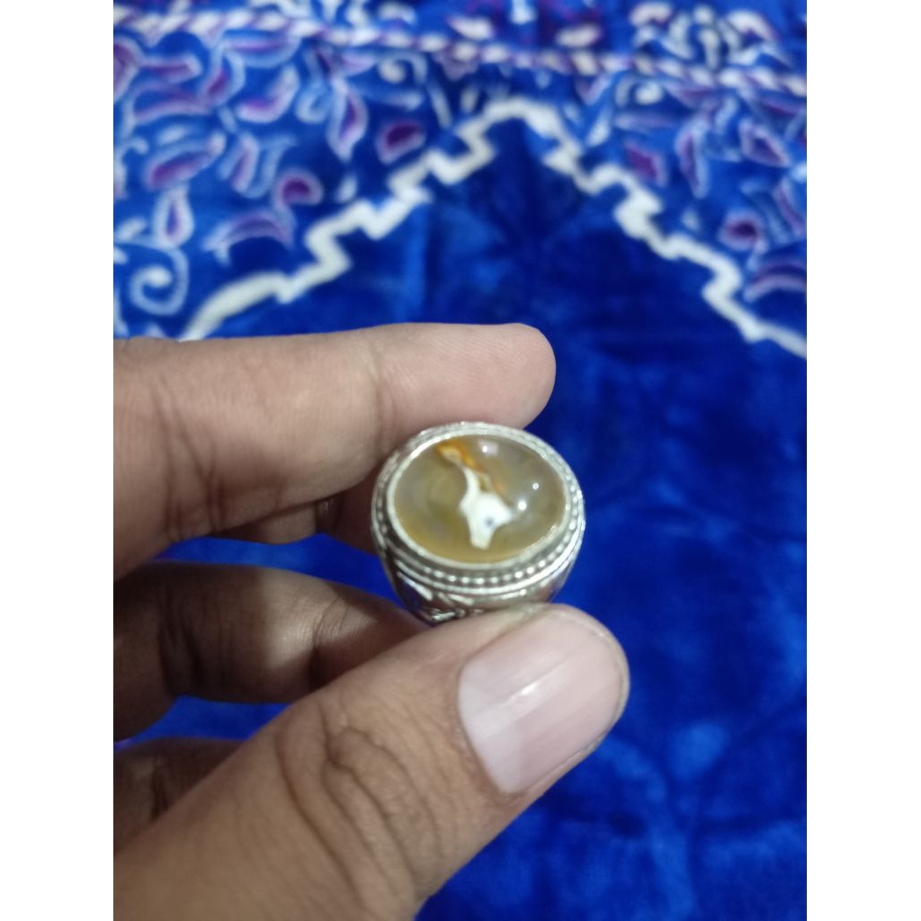 mustika combong serambut