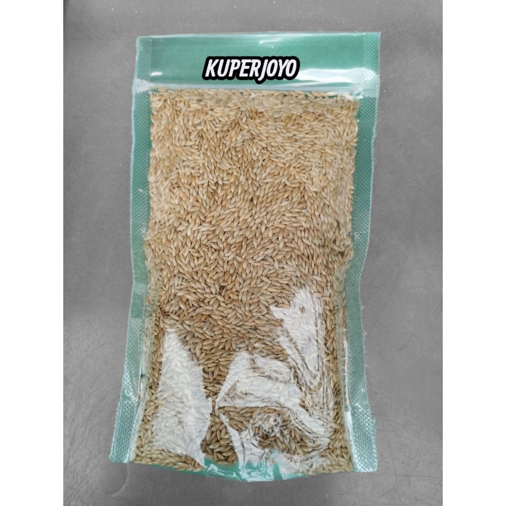 Biji Kenari Seed Kiloan/Re pack Pakan Burung berkicau kenari, Lovebird's, perkutut