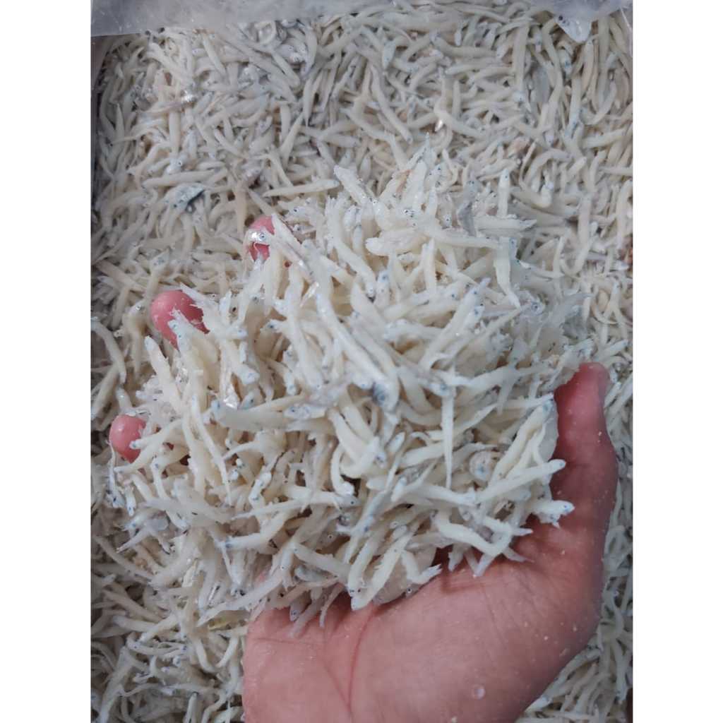 Teri Medan 1KG / Ikan Teri Nasi Medan / Teri Best Seller