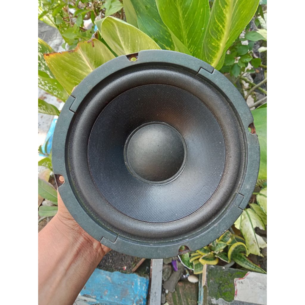 Speaker Woofer ACR 6 inch/Speaker ACR 6 inch/Harga Satuan